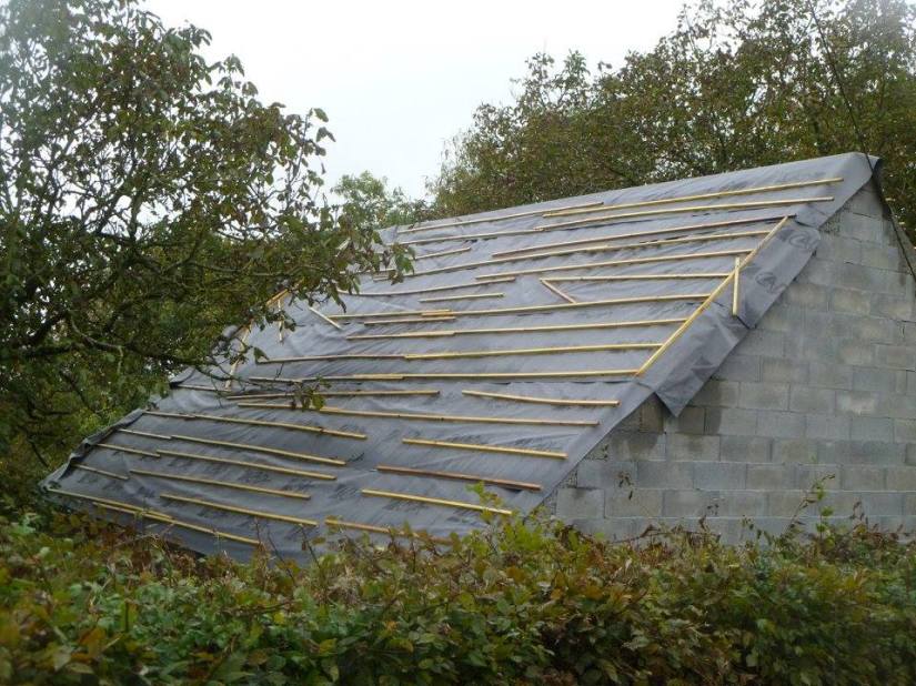 12096284_10154303866229816_2324726344304488860_n