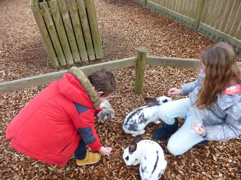 12885905_10154773646639816_7707124126990244899_o