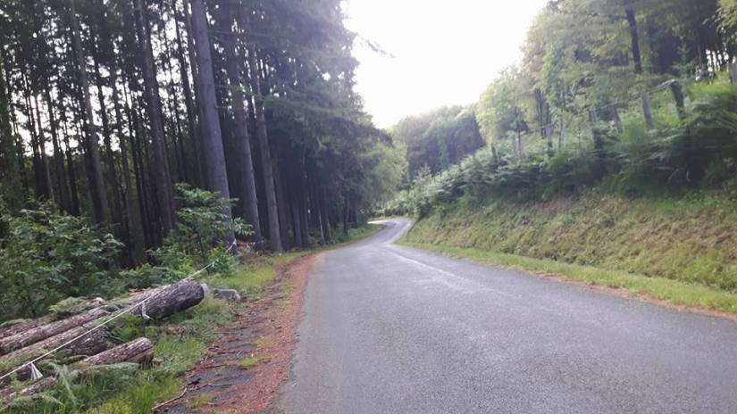 19510654_782582141909156_5560778356447101070_n