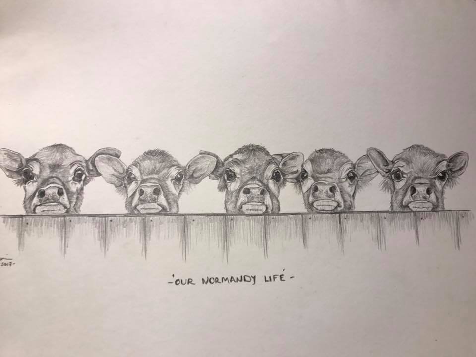 23319297_10155163904613284_746346531232411025_n