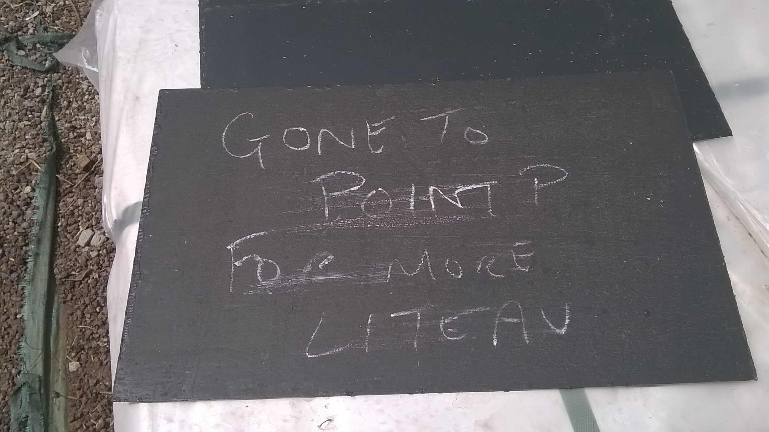 WP_20170527_15_35_22_Pro