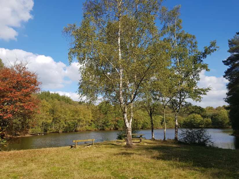 42825237_10157869165744816_3579801193347547136_o