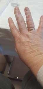 45759032_1090469637787070_4371501096363884544_o